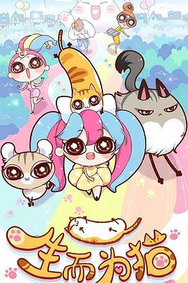 网站在前期有什么优化